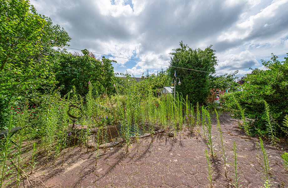 200-8329_Garten-2 200-8329_Garten-2