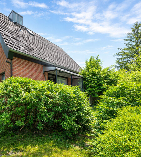 Rückansicht Rückansicht